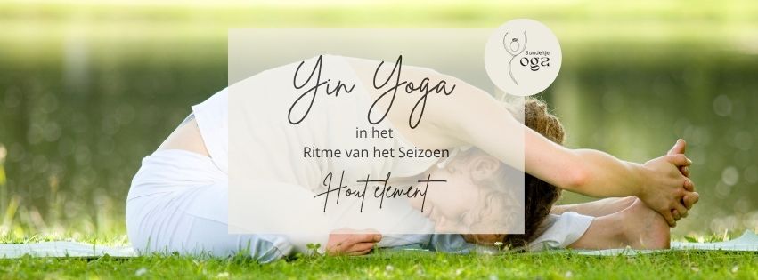 Workshop Yin Yoga in het Ritme van het Seizoen – Hout element